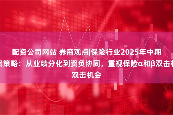 配资公司网站 券商观点|保险行业2025年中期投资策略：从业绩分化到资负协同，重视保险α和β双击机会