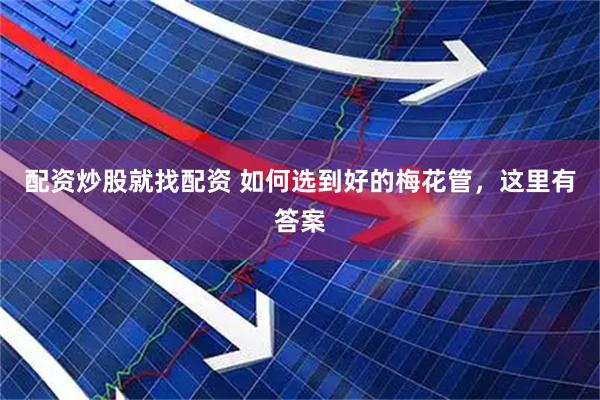配资炒股就找配资 如何选到好的梅花管，这里有答案