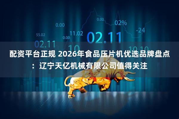 配资平台正规 2026年食品压片机优选品牌盘点：辽宁天亿机械有限公司值得关注